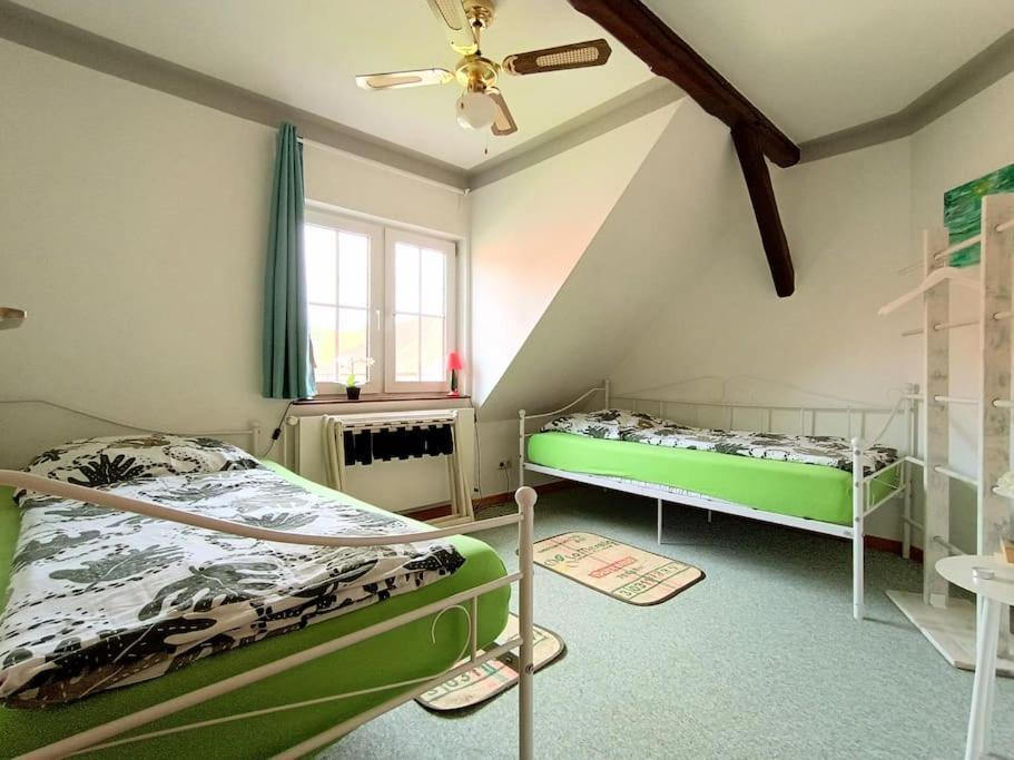 Ruhiges Exzellenz-Appartement Diana Im Elb-Urstromtal - Fast Wlan, Good For Long-Terms Bleckede Εξωτερικό φωτογραφία