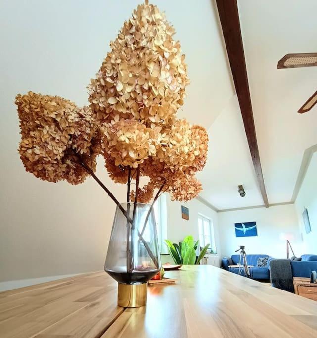 Ruhiges Exzellenz-Appartement Diana Im Elb-Urstromtal - Fast Wlan, Good For Long-Terms Bleckede Εξωτερικό φωτογραφία